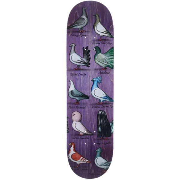 ANTIHERO SHOW PIGEONS PFANNER 8.00" TAVOLA SKATEBOARD
