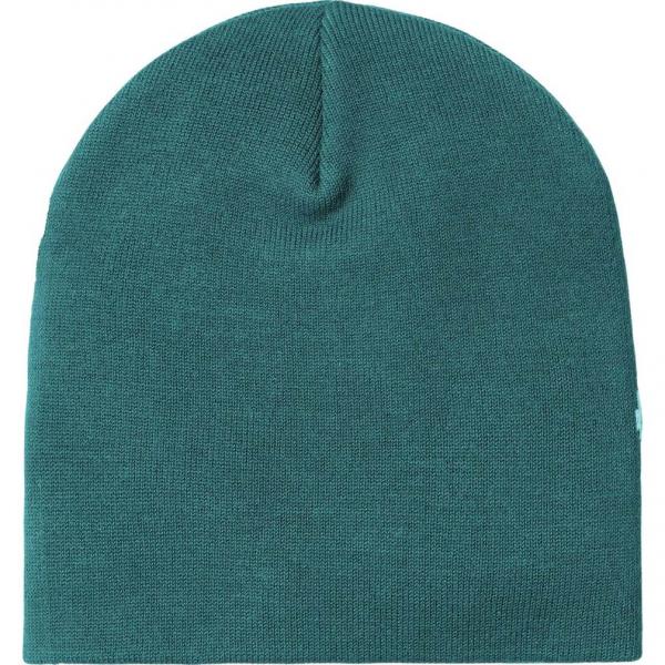 CARHARTT WIP SCREWED UP SCRIPTER BEANIE RAINFOREST/AIR SKY