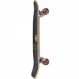 GLOBE BURNER 31" OLA CRUISER