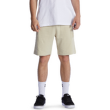 DC ANAFRONT OVERCAST SHORTS
