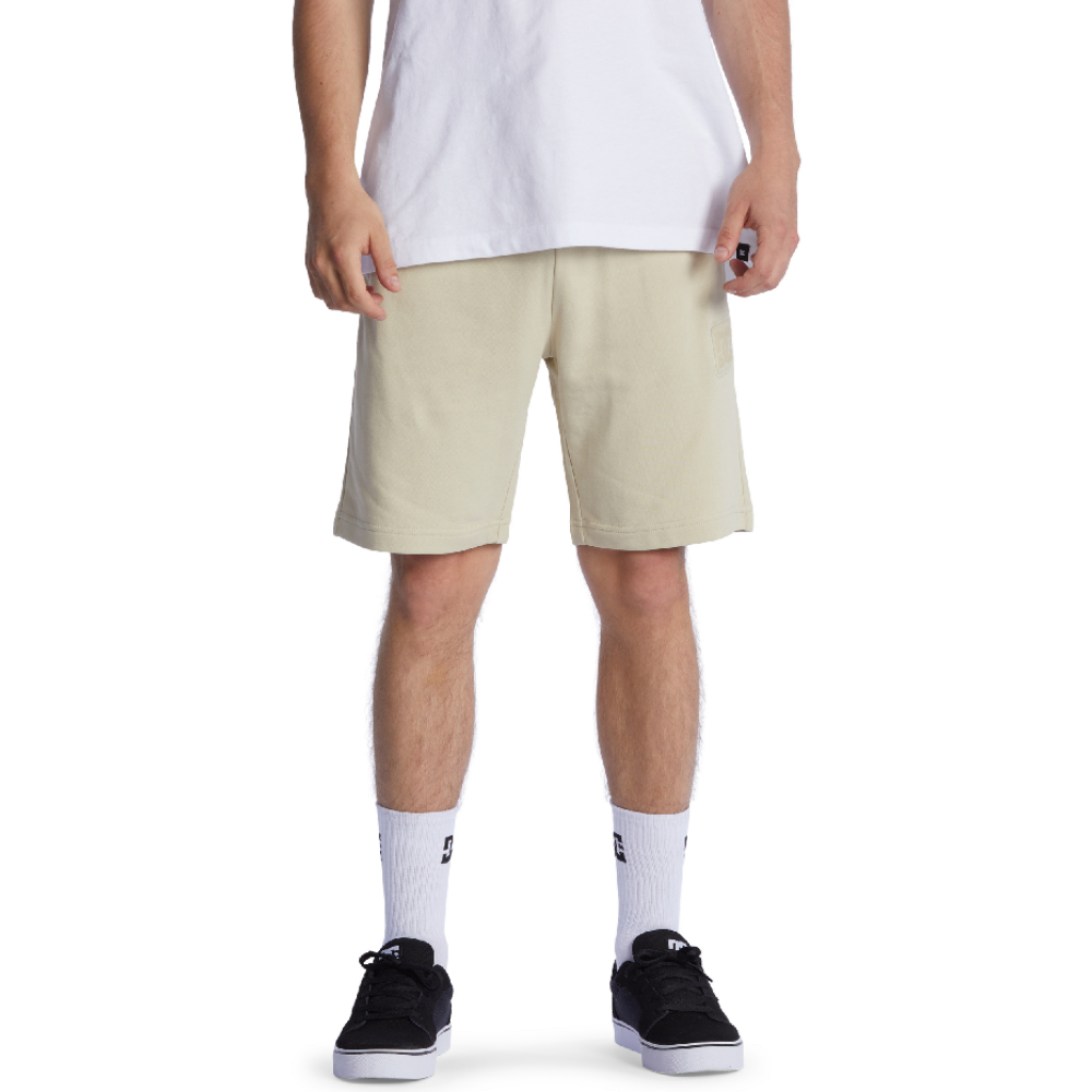 DC ANAFRONT OVERCAST SHORTS