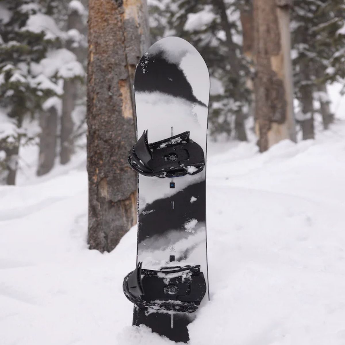 BURTON ALEKESAM TAVOLA SNOWBOARD