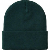 CARHARTT WIP SHORT WATCH HAT DARK FIR