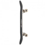GLOBE KIDS HARMONY HOMIES MINI 7.0" SKATEBOARD COMPLETO BAMBINO