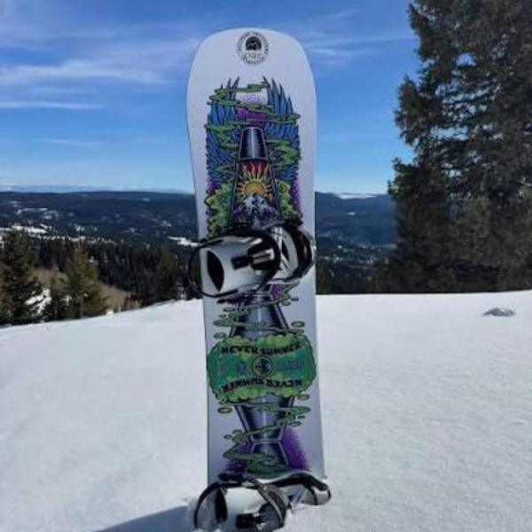 NEVER SUMMER LLAMA TAVOLA SNOWBOARD
