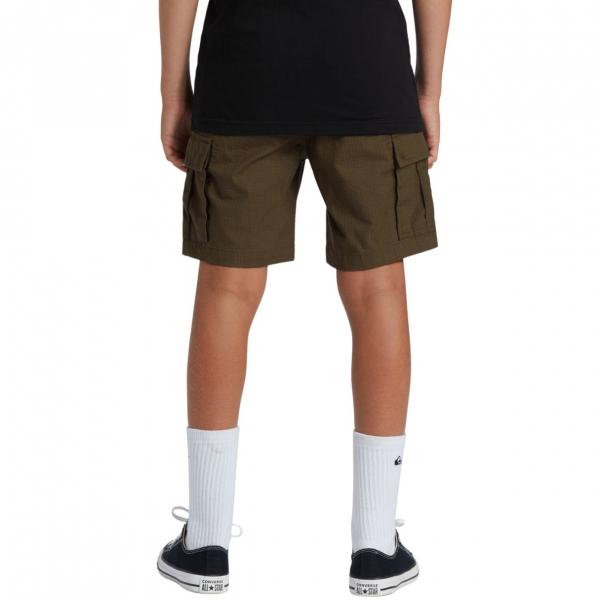QUIKSILVER TAXER CARGO GRAPE LEAF SHORTS BAMBINO