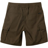 QUIKSILVER TAXER CARGO GRAPE LEAF SHORTS BAMBINO