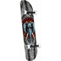 POWELL PERALTA VALLEY 8