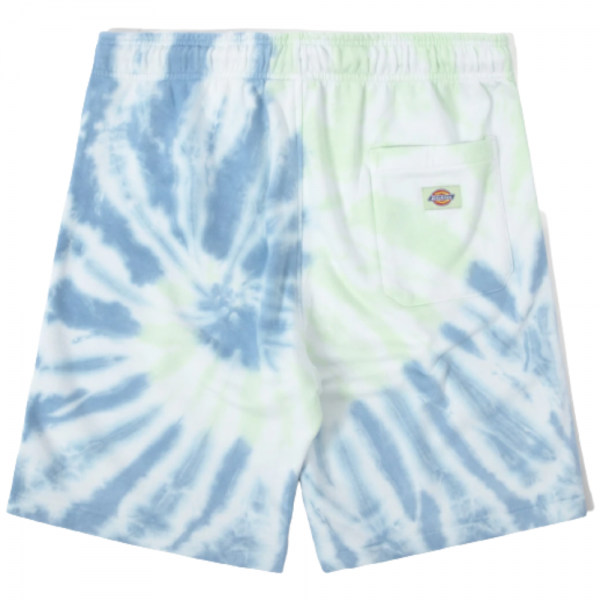 DICKIES SEATAC CELADON GREEN SHORTS