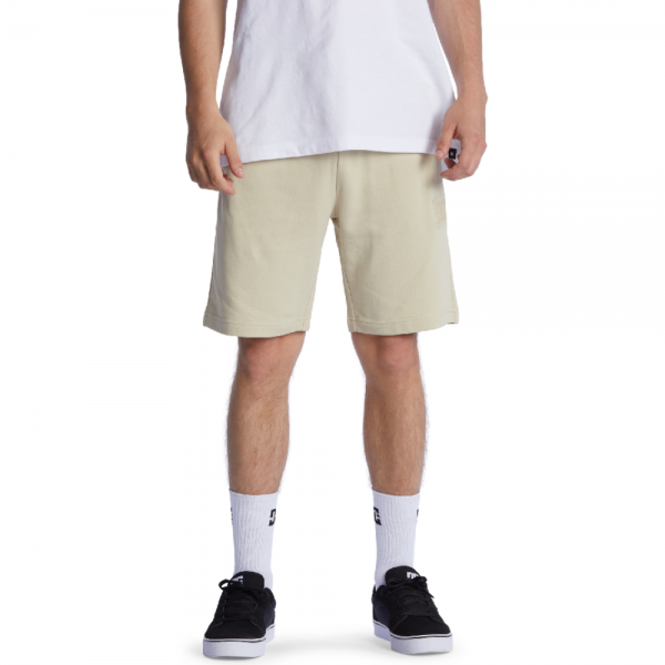 DC ANAFRONT OVERCAST SHORTS