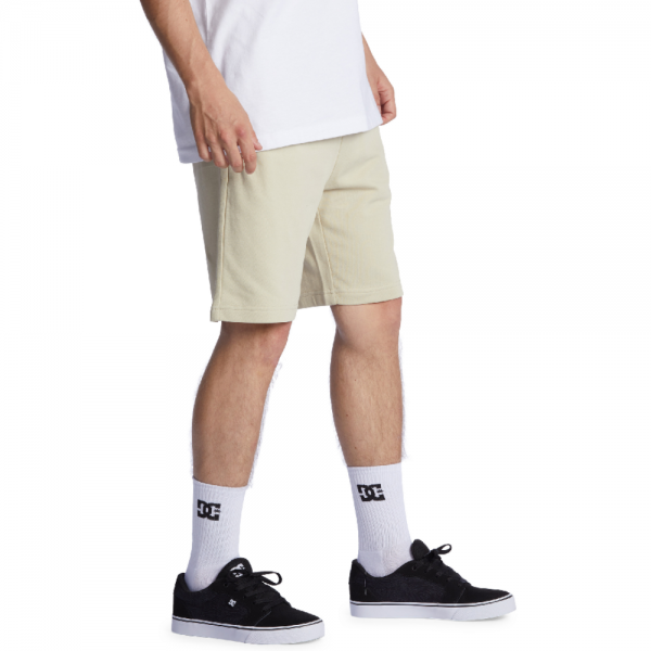 DC ANAFRONT OVERCAST SHORTS